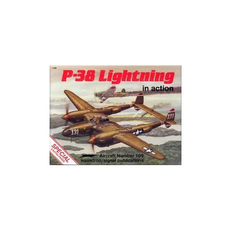 P38 LIGHTNIKS