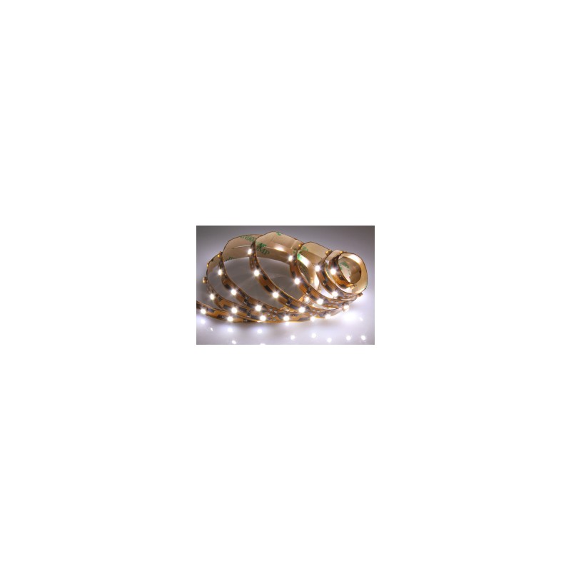 LED BLANCOS 12V  1M  60L