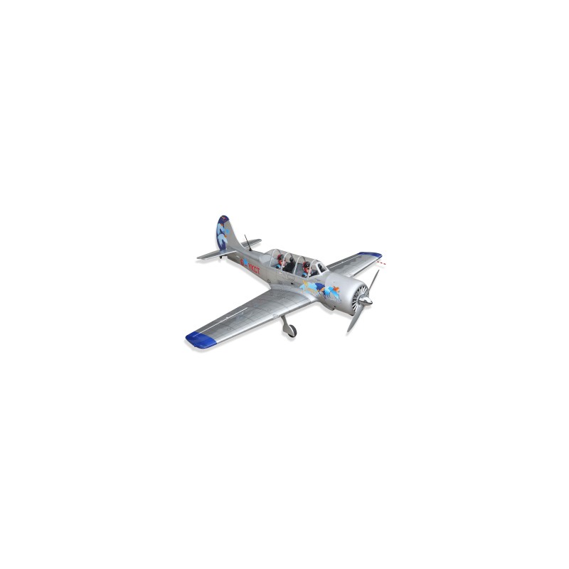 'AVION', 'YAK 52', 'ARF'