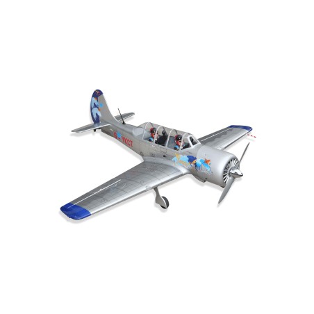 'AVION', 'YAK 52', 'ARF'