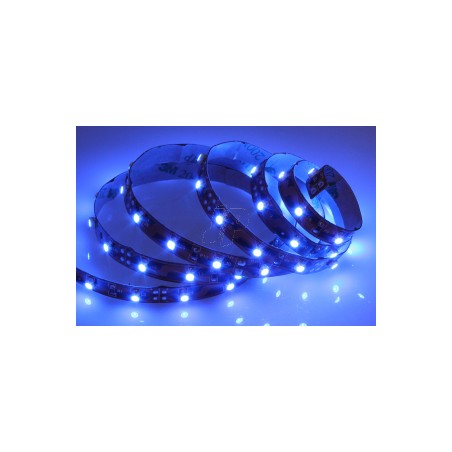 LED AZULES 12V 1M 60L