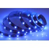 LED AZULES 12V 1M 60L