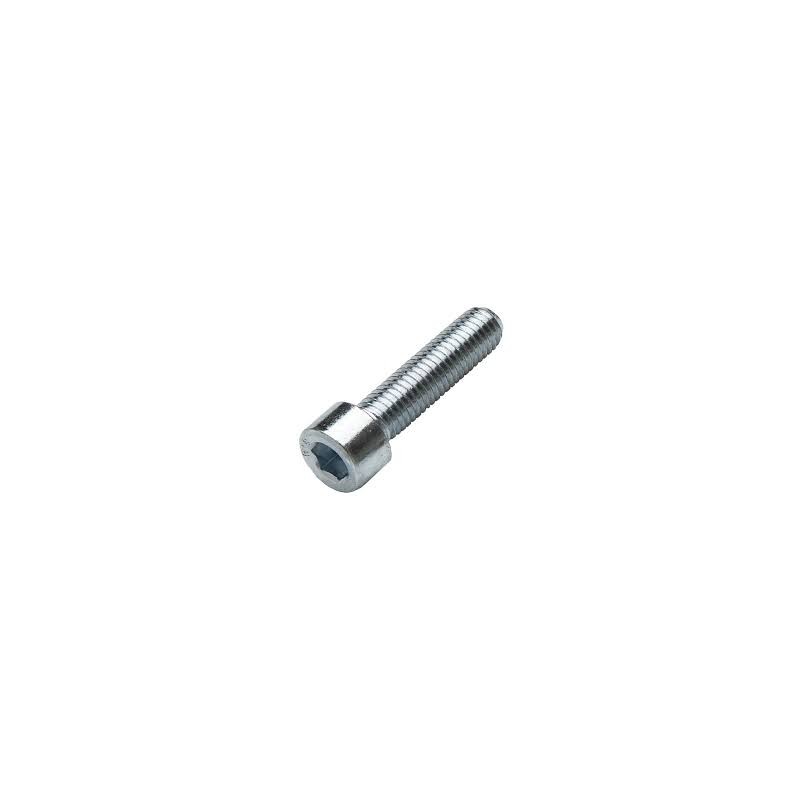 TORNILLOS M3X10mm (10)