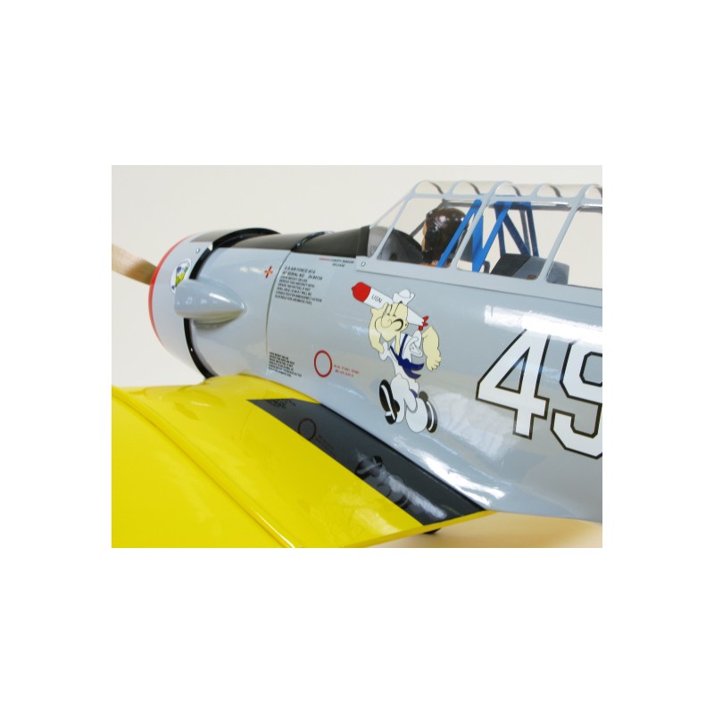 'SEAGULL MODELS', 'AT-6', 'AVION SEAGULL' ,'SEA110'. 'SEAGULL', 'seagull models', 'seagull', 'at-6',