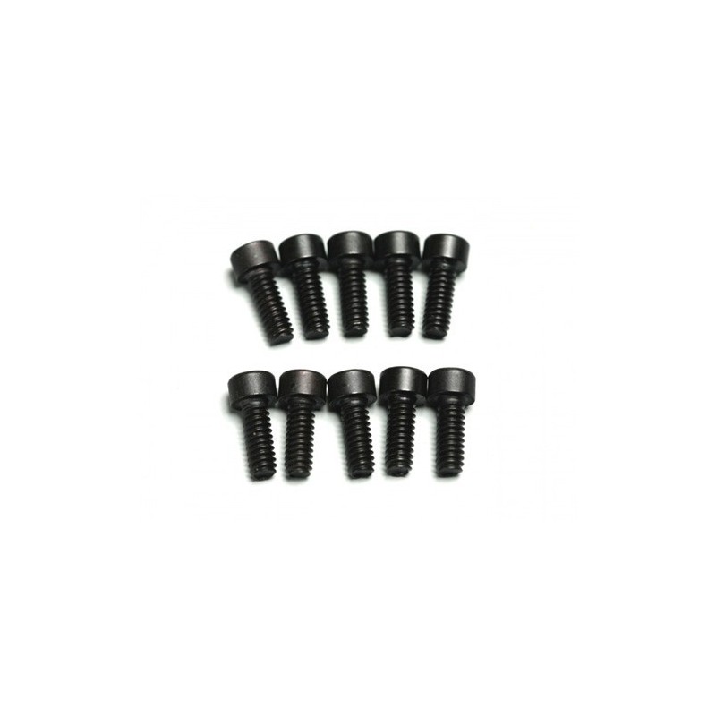 TORNILLOS M2,6X5 (10)