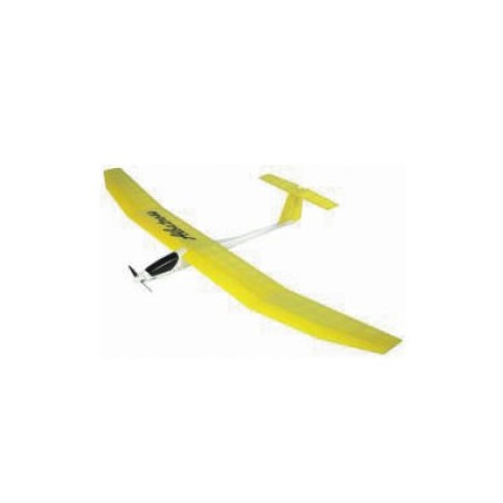 'aeromodelismo', 'velero', 'rc', 'moto velero', 'glider', 'radio control', 'RC'