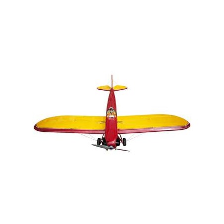 SEAGULL MODELS, BOWERS FLYBABY, AVION SEAGULL ,SEA238, SEAGULL, seagull models, seagull bowers flyba
