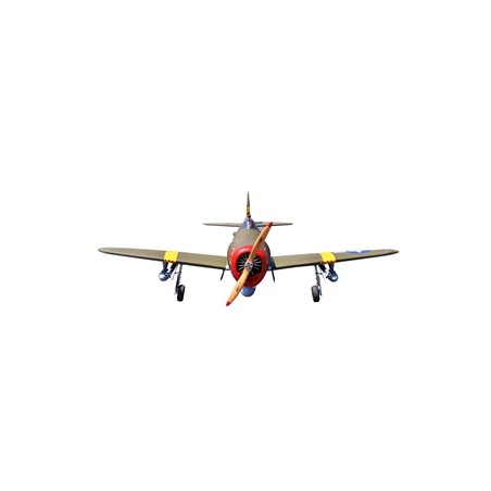 'SEAGULL MODELS', ' P-47 WICKED RABBIT', 'AVION SEAGULL' ,'SEA306', 'SEAGULL', 'seagull models', 'se