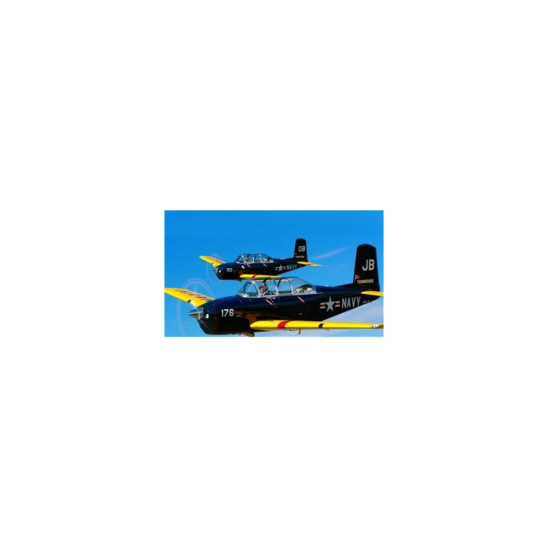 Seagull Models Navy Turbo Mentor (.26)