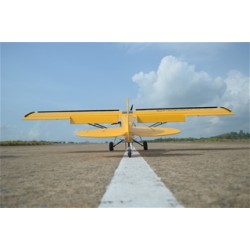 Seagull Models Shock Cub