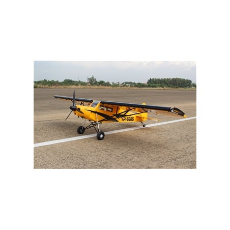 Seagull Models Shock Cub