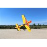 SEAGULL MODELS YAK 54 3D (35-40)