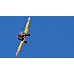 SEAGULL MODELS P-26A PEASHOOTER "PURSUIT SQUADRON"