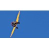 SEAGULL MODELS P-26A PEASHOOTER "PURSUIT SQUADRON"