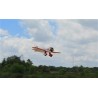 SEAGULL MODELS GILMORE RED LION 45-55CC