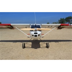SEAGULL MODELS BIRD DOG "DEAD EYE" ESCALA GIGANTE 125CC