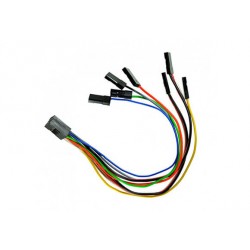 CABLE LOOM L150 ACP AXON, CORTEX PRO